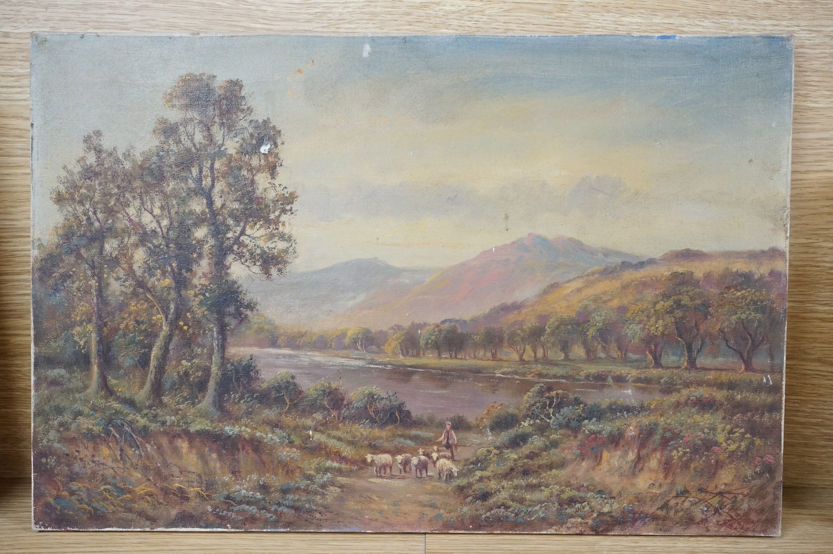 Early 20th century School, oil on canvas, Riverscape with shepherd and sheep, unsigned, 30 x 45cm, unframed. Condition - fair